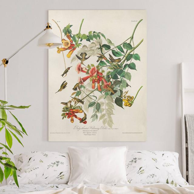 Ruby -Throated Hummingbirds - Wrapped Canvas Graphic Art Rosalind Wheeler Size: 100cm H x 75cm W on Productcaster.