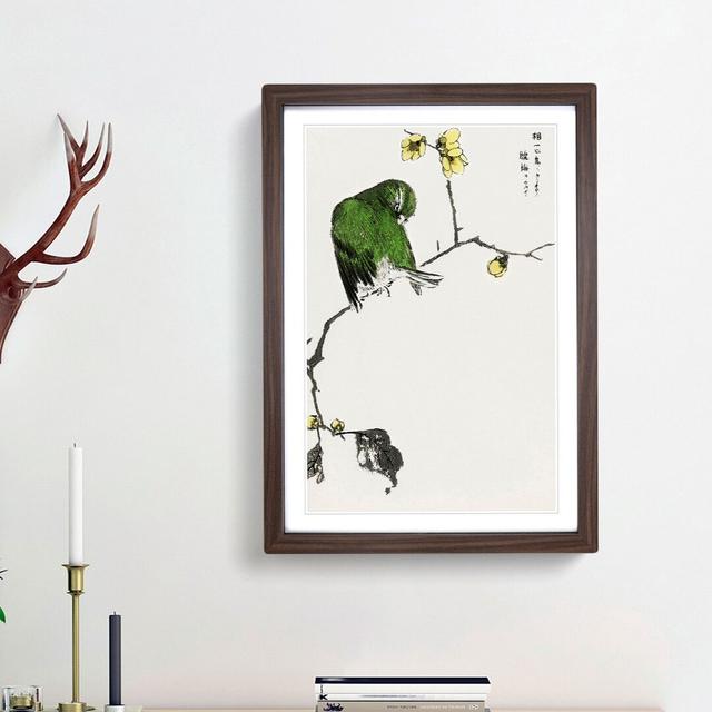 Green Fairy Pitta Bird by Numata Kashu - Picture Frame Painting Print East Urban Home Size: 65cm H x 48cm W x 2cm D, Frame Option: Walnut Framed on Productcaster.