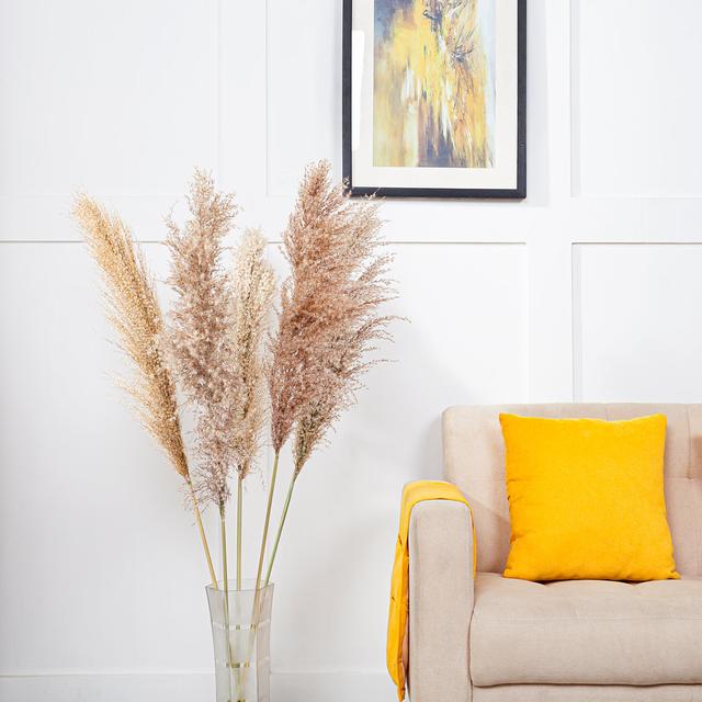 Pampas Grass Stem (Set of 5) The Seasonal Aisle on Productcaster.