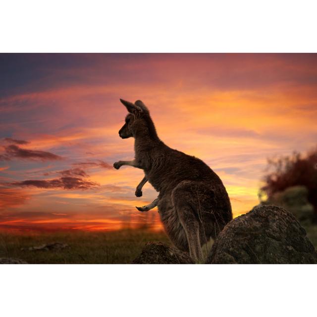 Sunset Kangaroo Australia by Lovleah - Wrapped Canvas Print Latitude Run Size: 30cm H x 46cm W on Productcaster.