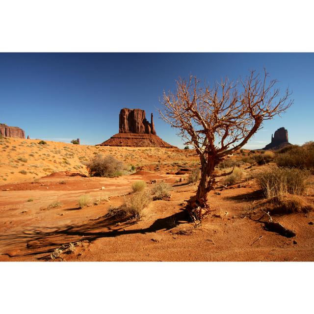 Duerr Monument Valley by Oksana - Wrapped Canvas Photograph Natur Pur Size: 61cm H x 91cm W x 3.8cm D on Productcaster.