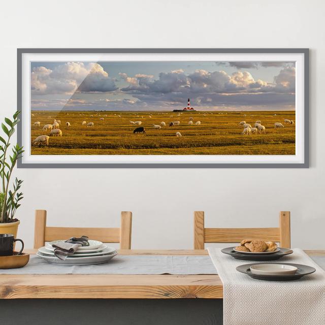 North Sea Lighthouse with Flock of Sheep - Picture Frame Photograph August Grove Size: 30cm H x 75cm W x 2cm D, Frame Option: Grey Framed on Productcaster.