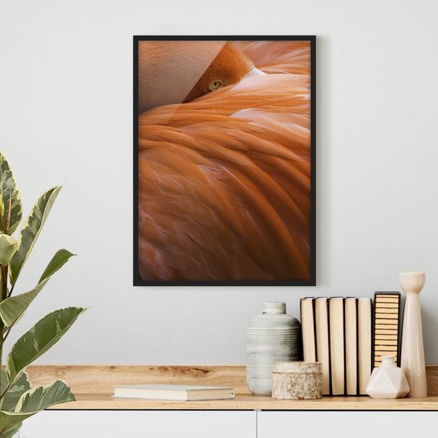 Flamingo Feathers - Picture Frame Graphic Art 17 Stories Size: 100cm H x 70cm W x 2cm D, Frame Option: Black Framed on Productcaster.