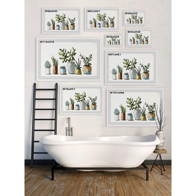 "Ornamental Succulents" Framed Painting Print Marlow Home Co. Size: 20cm H x 30cm W on Productcaster.