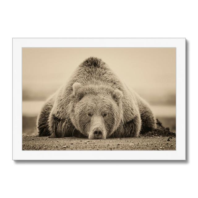 Deep Sleep by PHBurchett - Photographic Print Mack + Milo Size: 24cm H x 34cm W, Frame Colour: White Framed Paper Print on Productcaster.