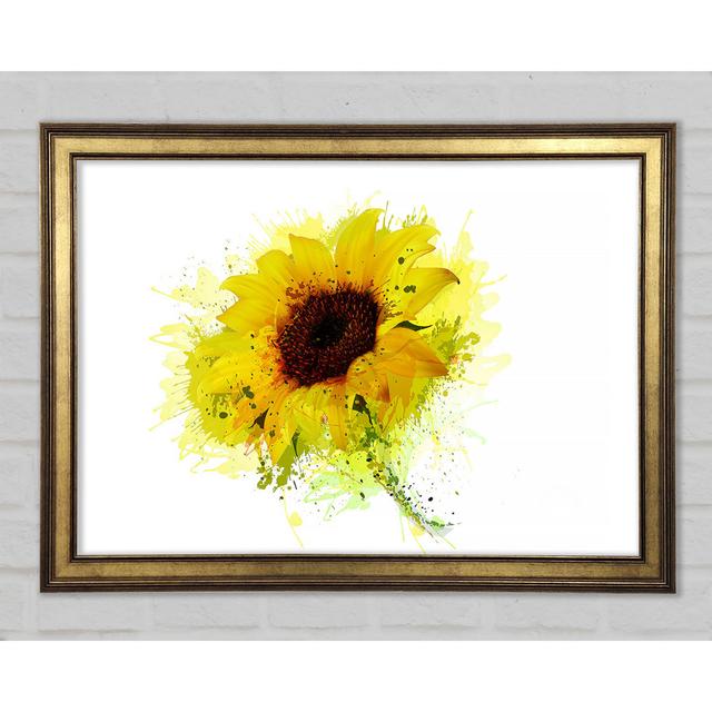 Sunflower Splash 1 Framed Print August Grove Size: 42cm H x 59.7cm W x 1.5cm D, Format: Gold Framed Paper on Productcaster.