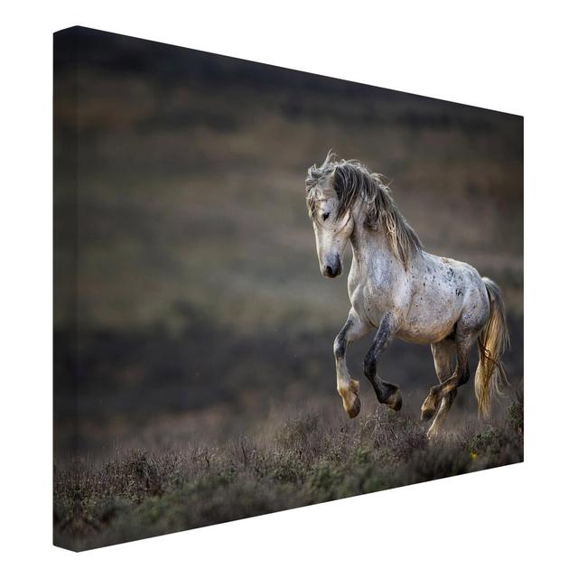 Galloping Through The Heath - Wrapped Canvas Rectangle Graphic Art on Gracie Oaks on Productcaster.