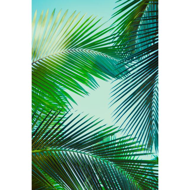 Coconut Palm Tree by Sk901 - Print Bay Isle Home Size: 122cm H x 81cm W x 3.8cm D on Productcaster.