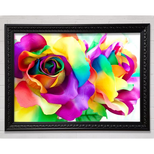 Roses Close Brayden Studio Format: Black Framed Paper, Size: 42cm H x 59.7cm W x 3cm D on Productcaster.