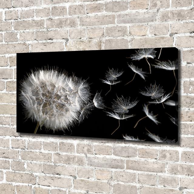 Pusteblume - Ungerahmte Kunstdrucke auf Leinwand Ebern Designs on Productcaster.