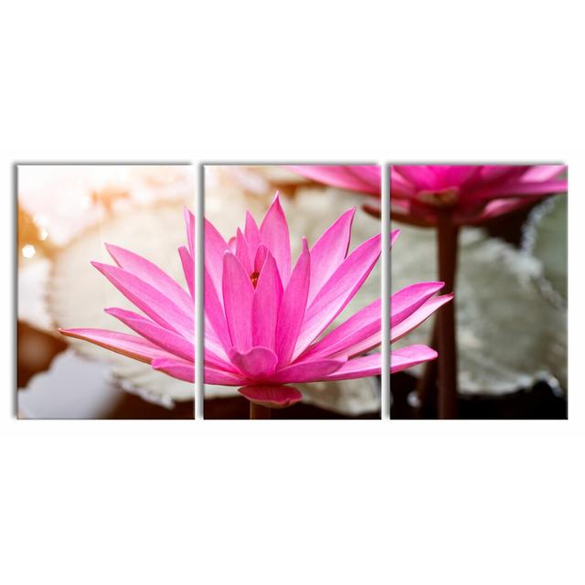 Purple Water Lily - 3 Piece Wrapped Canvas Photograph Print Set East Urban Home Size: 210 cm H x 100 cm W x 2.4 cm D on Productcaster.