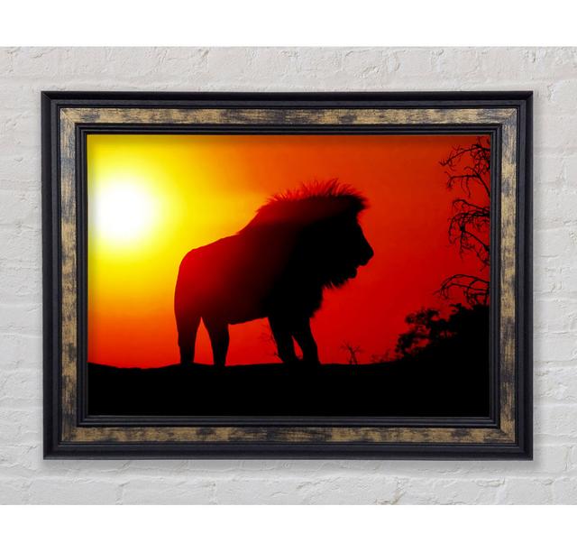 Lion Sunset - Single Picture Frame Art Prints Bright Star Size: 29.7cm H x 42cm W on Productcaster.