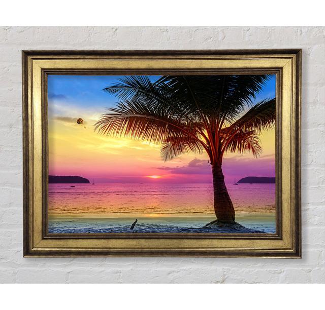 Single Picture Frame Art Prints Bright Star Size: 21cm H x 42cm W x 8cm D on Productcaster.