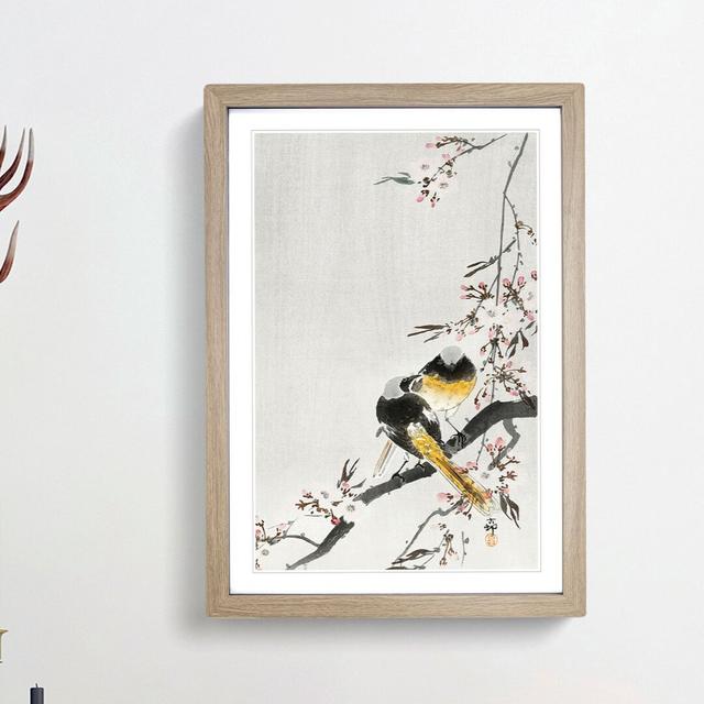 Two Sable Red Tails and Cherry Blossom by Ohara Koson - Picture Frame Painting Print East Urban Home Frame Option: Oak Framed, Size: 36cm H x 27cm W x on Productcaster.