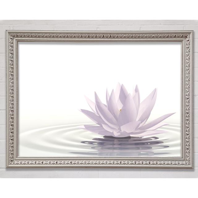 Weißer Lotus auf gekräuseltem Wasser - Einzelner Bilderrahmen Kunstdrucke Bright Star Größe: 84,1 cm H x 118,9 cm B x 3 cm T on Productcaster.