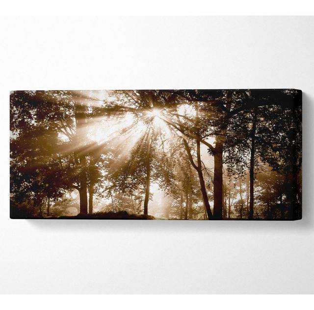 Sunrays Through The Chocolate Woodland - Wrapped Canvas Panoramic Art Prints Union Rustic Size: 40.6cm H x 101.6cm W x 10cm D on Productcaster.