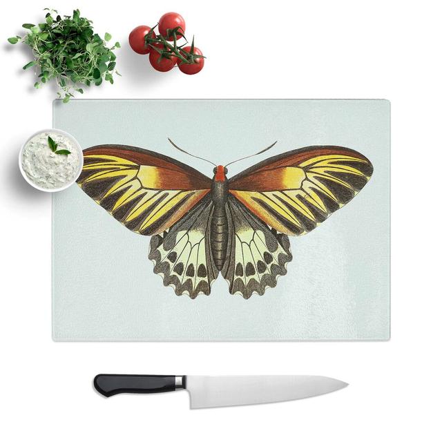 Tempered Glass Butterfly Chopping Board East Urban Home Size: 28.5 cm W x 20 cm L on Productcaster.