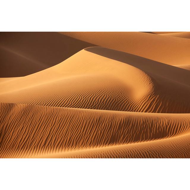 Desert Sand Dunes by Rosafrei - Wrapped Canvas Photograph Natur Pur Size: 30cm H x 46cm W on Productcaster.