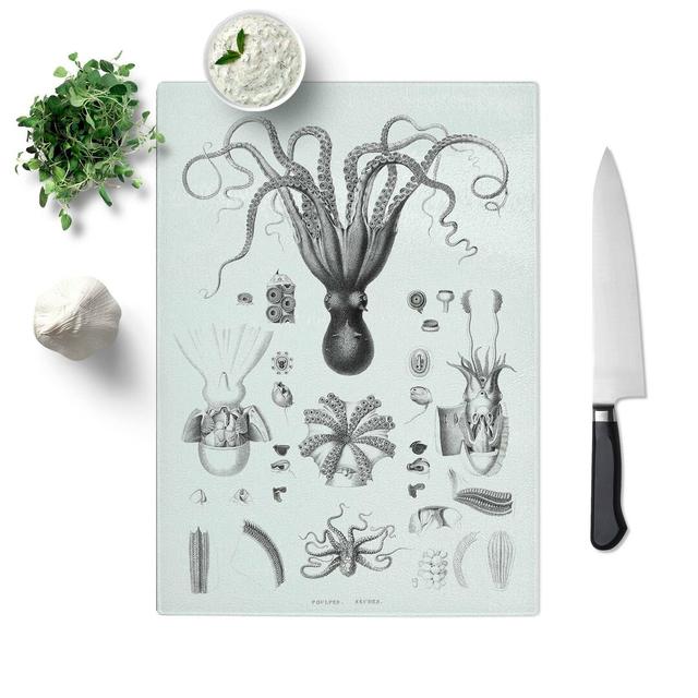 Tempered Glass Octopus Illustrations by E.F. Jomard Chopping Board East Urban Home Size: 28.5 cm W x 39 cm L on Productcaster.