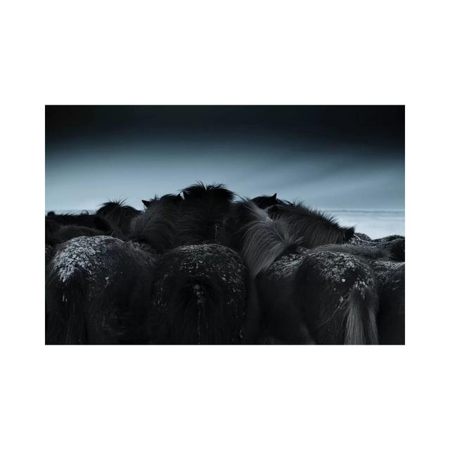 Cold Weather by Bingo Z - Wrapped Canvas Print Ebern Designs Size: 45.72cm H x 66.04cm W x 3.81cm D on Productcaster.