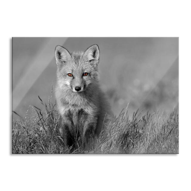 Sweet Little Fox In A Meadow - No Frame Print on Glass Union Rustic Size: 60cm H x 80cm W x 0.4cm D on Productcaster.