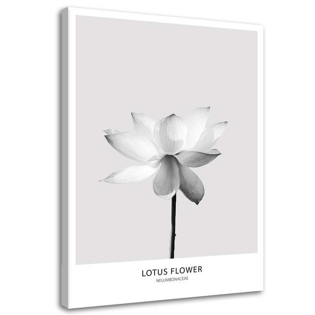 Leinwandbild White Lotus Flower Nature Happy Larry Größe: 60 cm H x 40 cm B on Productcaster.