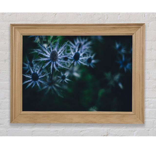 Spring Thistle - Print Bright Star Size: 29.7cm H x 42cm W x 8cm D on Productcaster.