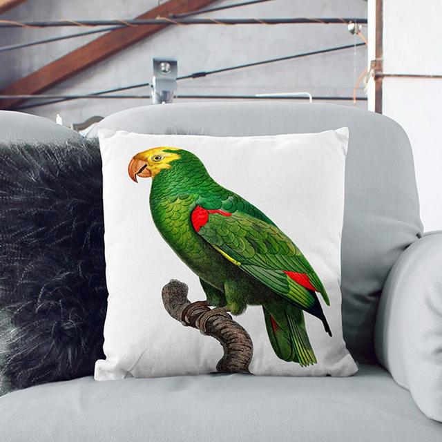 Crowned Amazon Parrot by F. Levaillant Cushion with Filling East Urban Home Size: 55 x 55 cm on Productcaster.