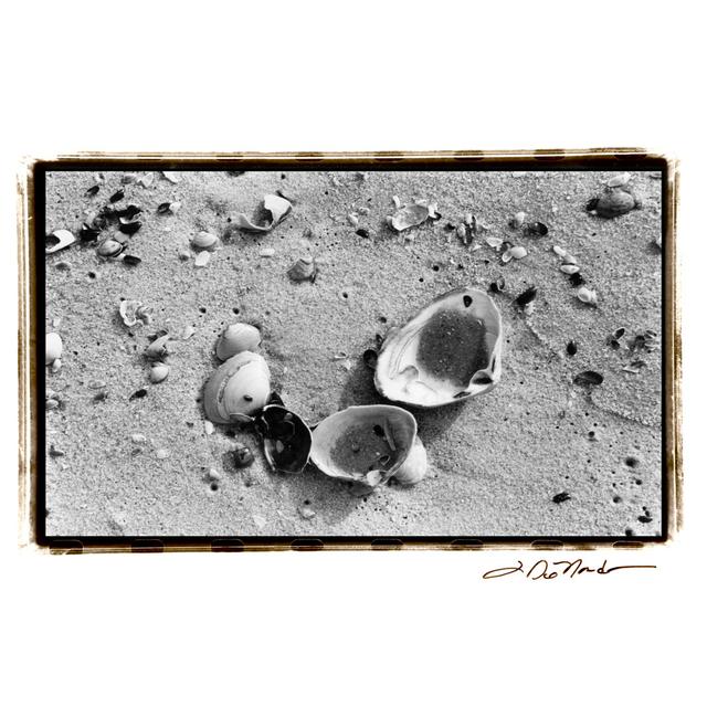 Sand Treasures IV by Laura DeNardo - Wrapped Canvas Photograph Highland Dunes Size: 81cm H x 122cm W x 3.8cm D on Productcaster.