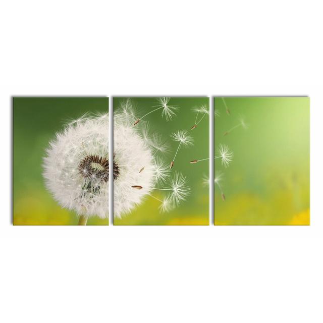 Dandelion Seeds - 3 Piece Wrapped Canvas Photograph Print Set East Urban Home Size: 180 cm H x 80 cm W x 2.4 cm D on Productcaster.