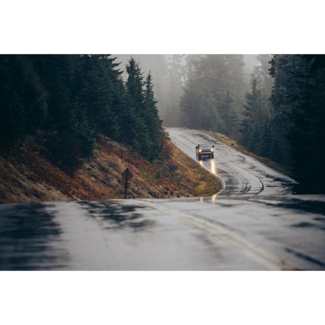 Pacific Northwest Forest by Timnewman - No Frame Print on Canvas Alpen Home Size: 81cm H x 122cm W on Productcaster.