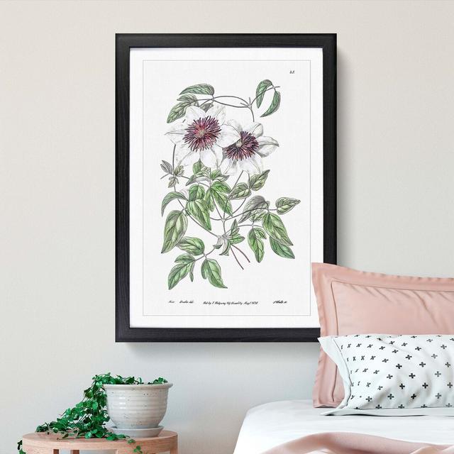 White Leather Clematis Flower - Picture Frame Art Prints East Urban Home Size: 65cm H x 48cm W x 2cm D, Frame Option: Black Framed on Productcaster.