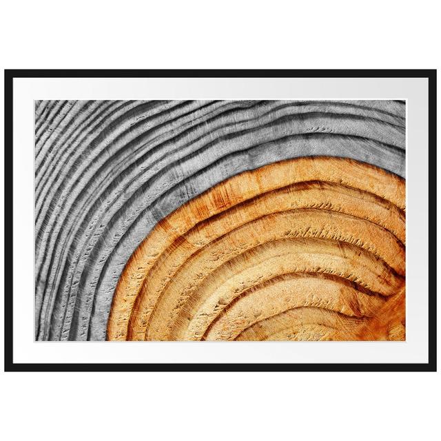 Gerahmter Fotodruck Tree Trunk Rings East Urban Home Größe: 70 cm H x 100 cm B x 2,5 cm T, Farbe: Braun/​Grau on Productcaster.