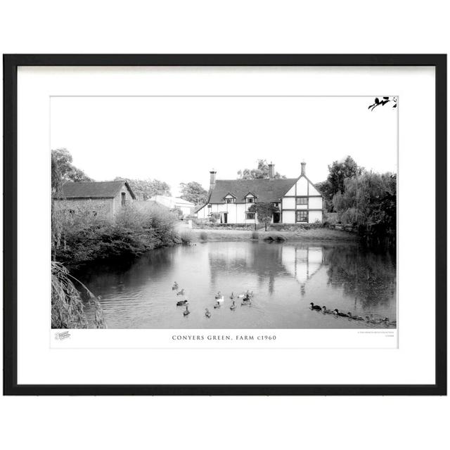 Conyers Green, Farm C1960 by Francis Frith - Single Picture Frame Print The Francis Frith Collection Size: 45cm H x 60cm W x 2.3cm D on Productcaster.