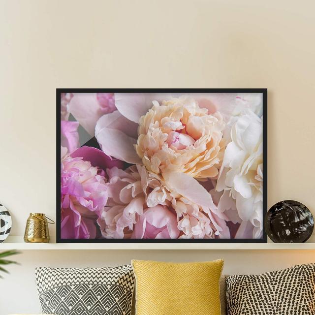 Blooming Peonies - Picture Frame Graphic Art Rosdorf Park Format: Black Framed, Size: 70cm H x 100cm W x 2cm D, Matte Colour: No Matte on Productcaster.