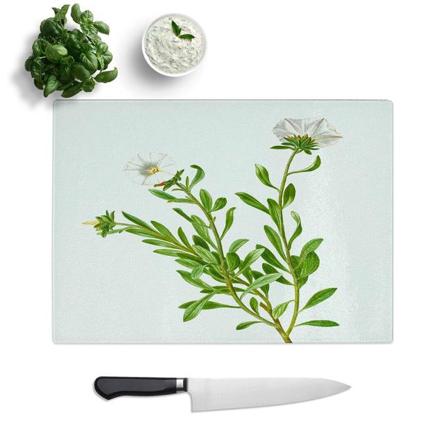 Tempered Glass Silverbush Flowers by Pierre-Joseph Redoute Chopping Board East Urban Home Size: 28.5 cm W x 20 cm L on Productcaster.