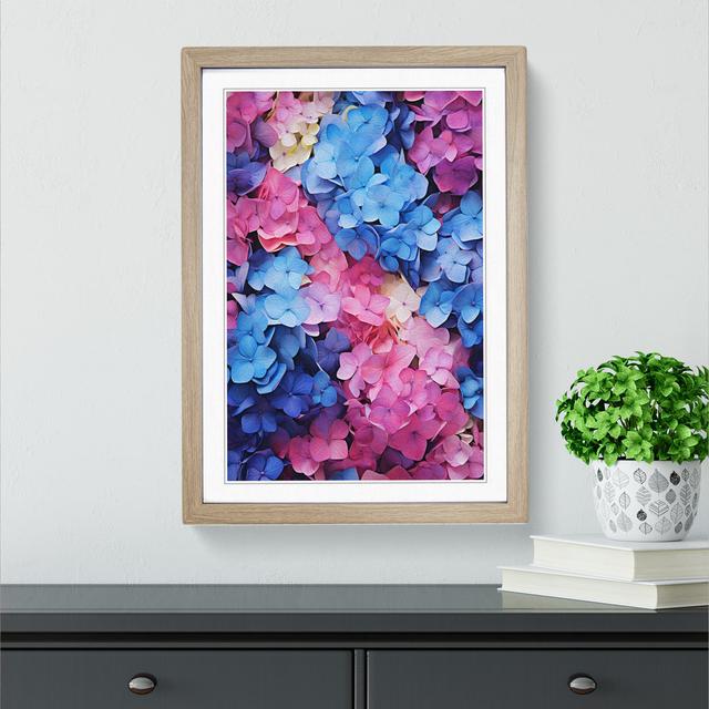 Hydrangea Colour Field Big Box Art Size: 34cm H x 25cm W x 2cm D, Frame Colour: Oak Framed on Productcaster.