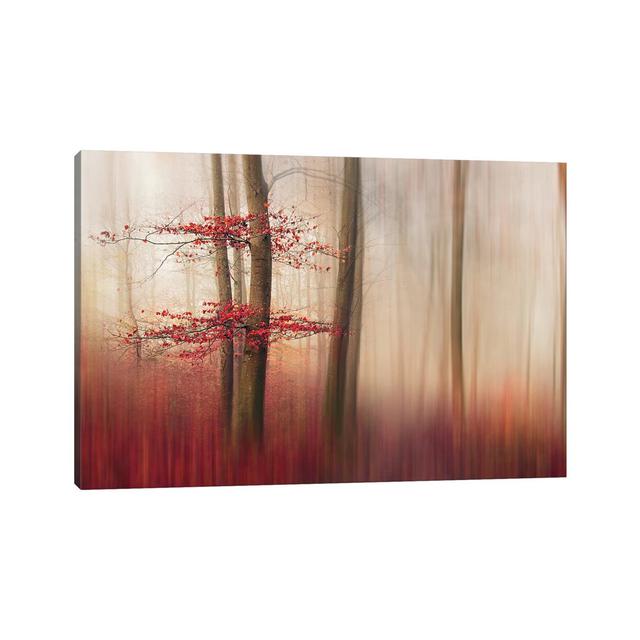 Red Leaves by Leif Londal - Wrapped Canvas Art Prints ClassicLiving Size: 45.72cm H x 66.04cm W x 1.905cm D on Productcaster.