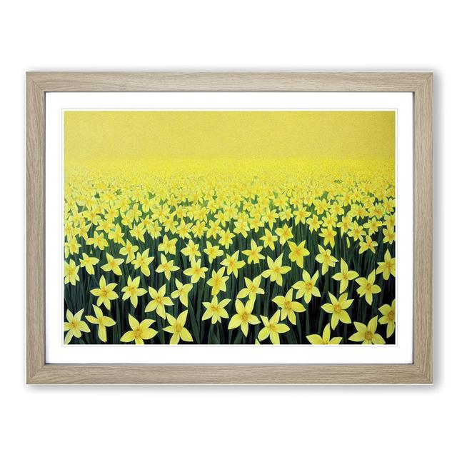 Daffodil Field - Picture Frame Graphic Art Marlow Home Co. Size: 25cm H x 34cm W x 2cm D, Frame Colour: Oak on Productcaster.