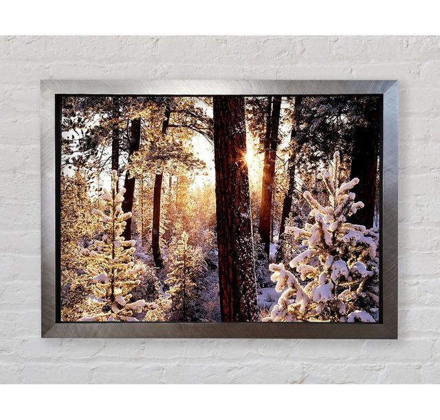 Winter Woodland - Single Picture Frame Art Prints Bright Star Size: 59.7cm H x 84.1cm W on Productcaster.