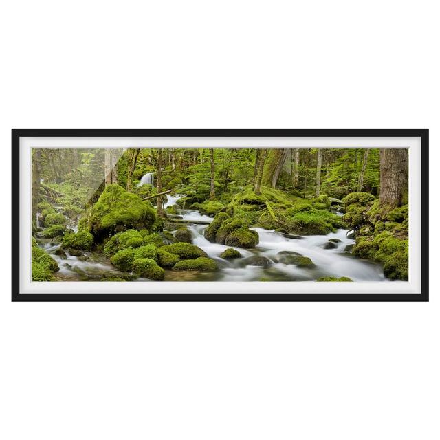 Moss Covered Stones Switzerland - Picture Frame Photograph Union Rustic Size: 20cm H x 50cm W x 2cm D, Frame Option: Black Framed on Productcaster.