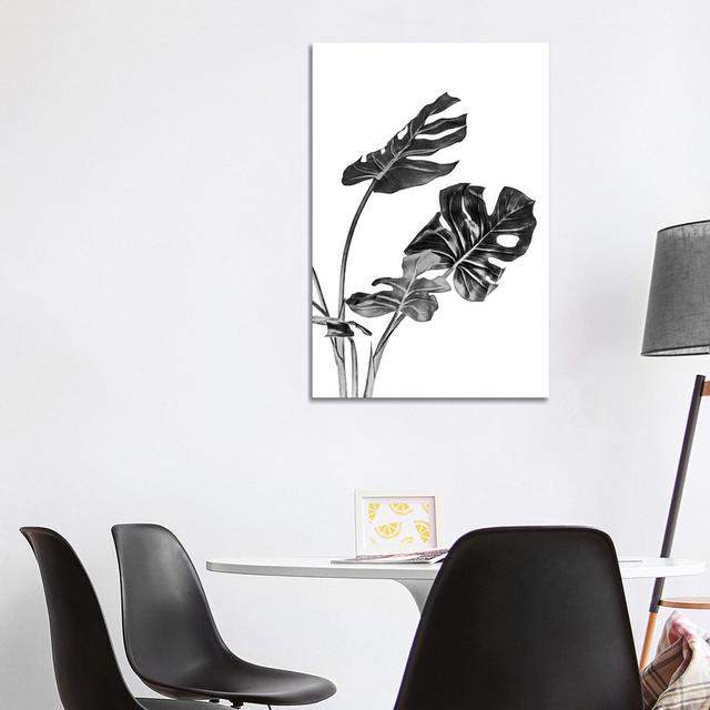 Monstera Black and White II by Amini54 - Wrapped Canvas Painting Bay Isle Home Size: 101.6cm H x 66.04cm W x 1.91cm D on Productcaster.