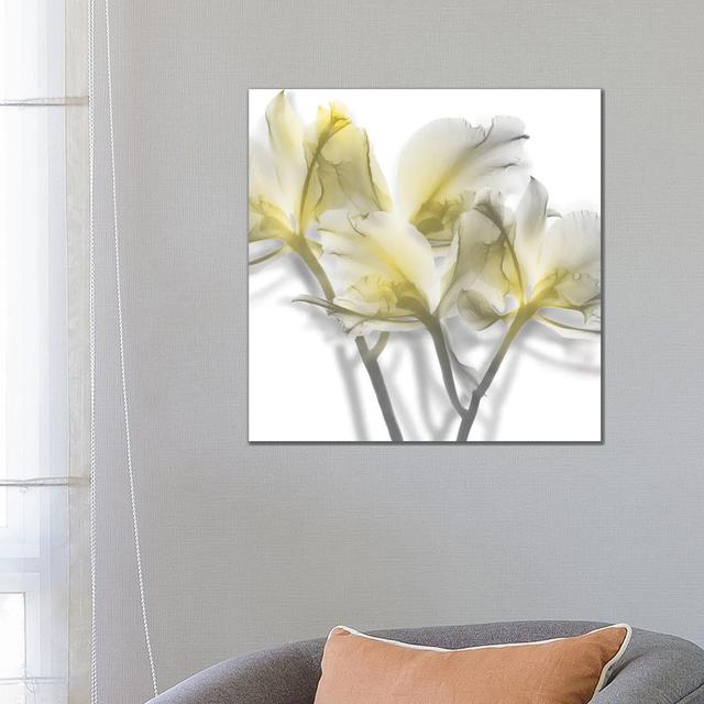 Unfocused Light II by Albert Koetsier - Wrapped Canvas Print Ebern Designs Size: 66.04cm H x 66.04cm W x 3.81cm D on Productcaster.