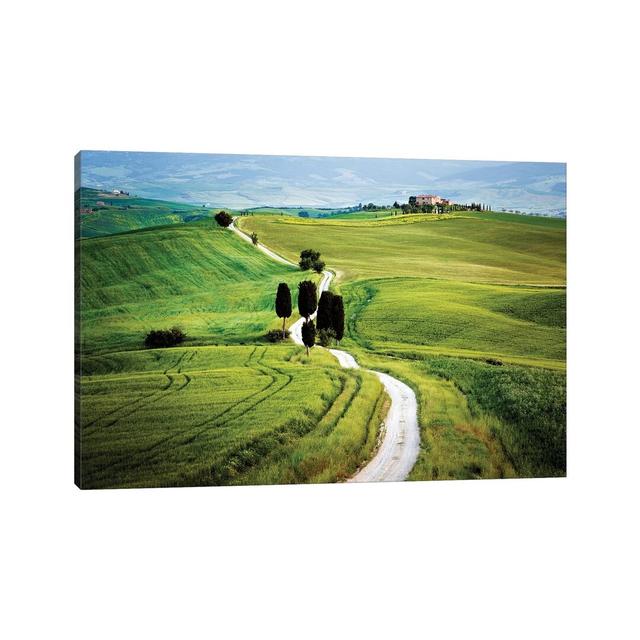 Italy, Tuscany, Val D'orcia. Road To Terrapile Farmhouse. Brambly Cottage Size: 30.48cm H x 45.72cm W on Productcaster.