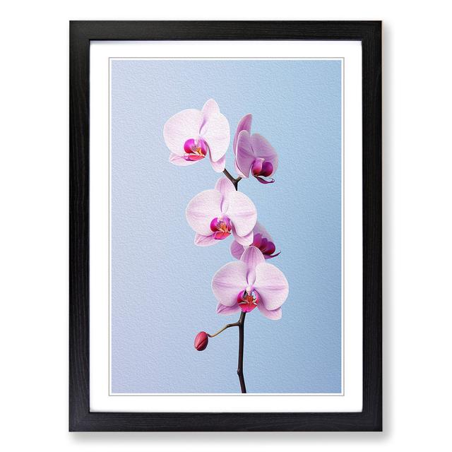 Orchid Flower Minimalism - Single Picture Frame Art Prints on Wood 17 Stories Frame Colour: Black , Size: 34cm H x 25cm W x 2cm D on Productcaster.