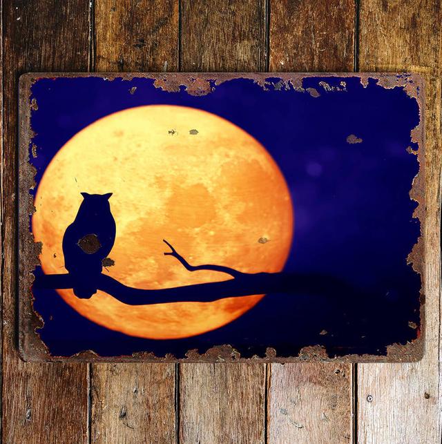 Halloween Owl Full Moon Night Sky Wall Décor The Seasonal Aisle Size: 15cm H x 20cm W on Productcaster.