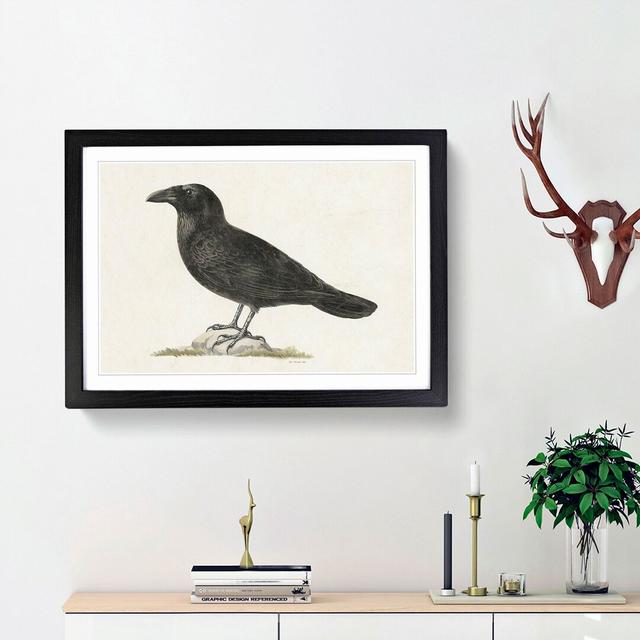 Common Raven by Von Wright - Picture Frame Painting Print East Urban Home Size: 36cm H x 48cm W x 2cm D, Frame Option: Black Framed on Productcaster.