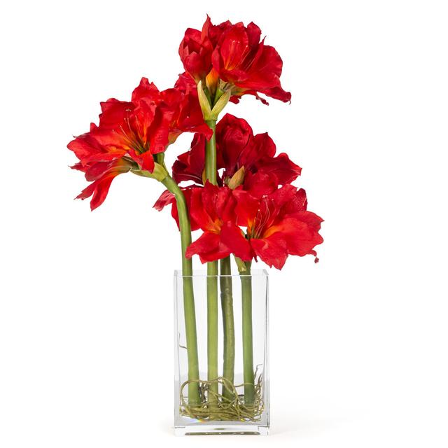 Eternity Amaryllis Radish Floral Arrangement in Vase The Seasonal Aisle Flower Colour: Red on Productcaster.