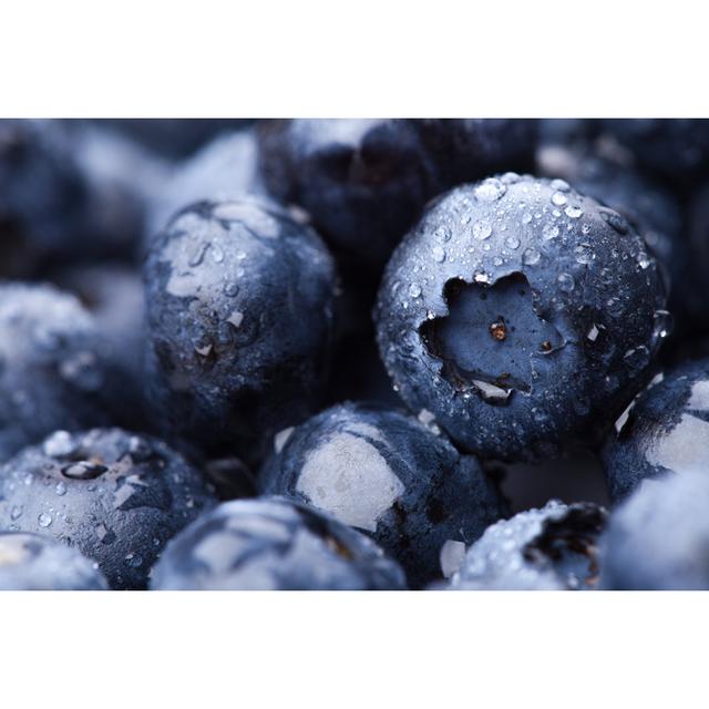 Wet Fresh Blueberry by Fotomaximum - Wrapped Canvas Photograph 17 Stories Size: 51cm H x 76cm W on Productcaster.