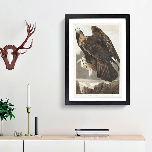 Golden Eagle by John James Audubon - Picture Frame Painting Print East Urban Home Frame Option: Black Framed, Size: 48cm H x 36cm W x 2cm D on Productcaster.